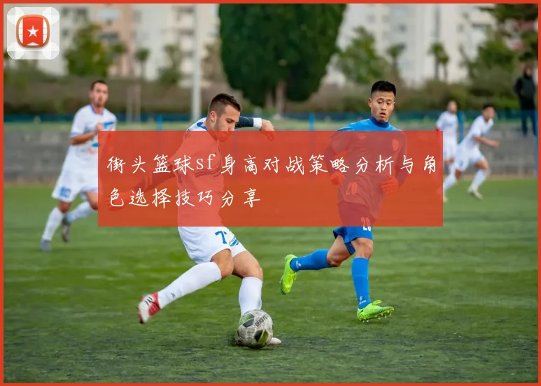 街头篮球sf身高对战策略分析与角色选择技巧分享