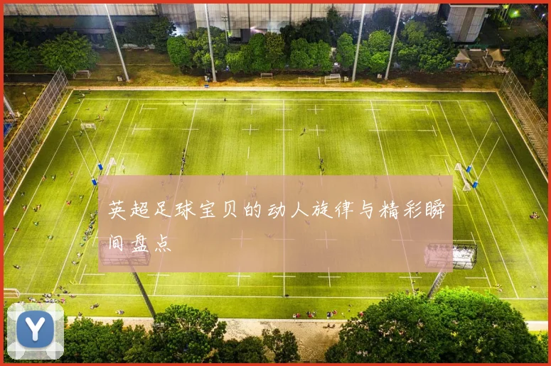 英超足球宝贝的动人旋律与精彩瞬间盘点