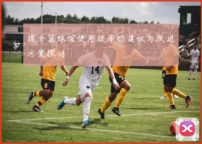 提升篮球馆使用效率的建议与改进方案探讨