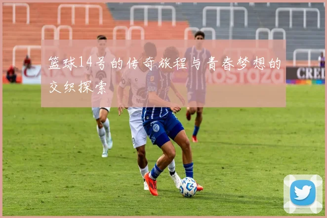篮球14号的传奇旅程与青春梦想的交织探索