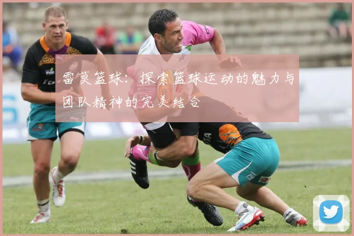 雷莫篮球：探索篮球运动的魅力与团队精神的完美结合