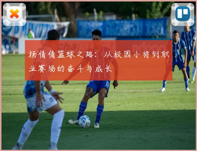 杨倩倩篮球之路：从校园小将到职业赛场的奋斗与成长