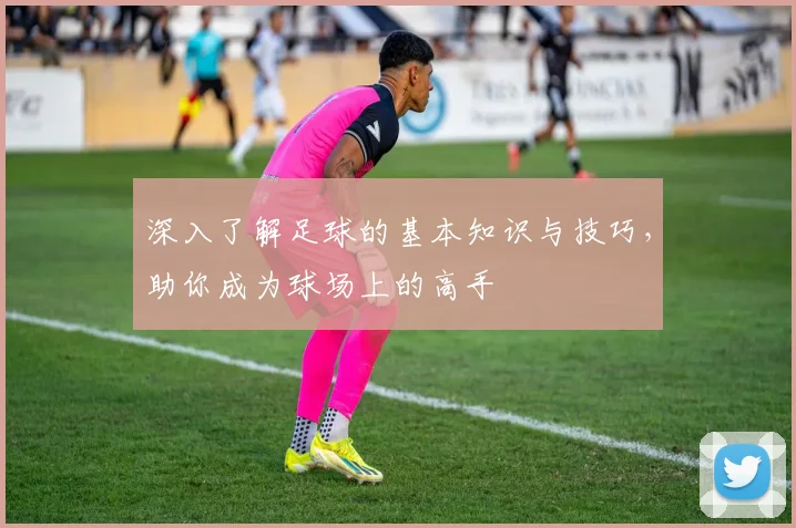 深入了解足球的基本知识与技巧，助你成为球场上的高手