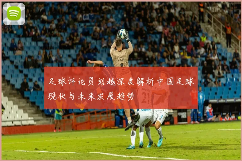 足球评论员刘越深度解析中国足球现状与未来发展趋势