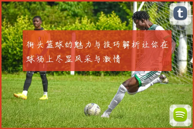 街头篮球的魅力与技巧解析让你在球场上尽显风采与激情
